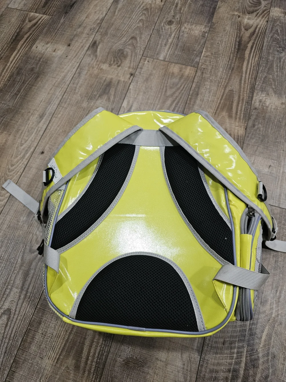 Lollimeow Cat Carrier For Planes Travel Backpack Bubble *Worn, Need Cleaned*